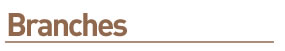 Car insurance branches
