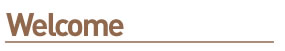 Car Insurance - Motor Insurance